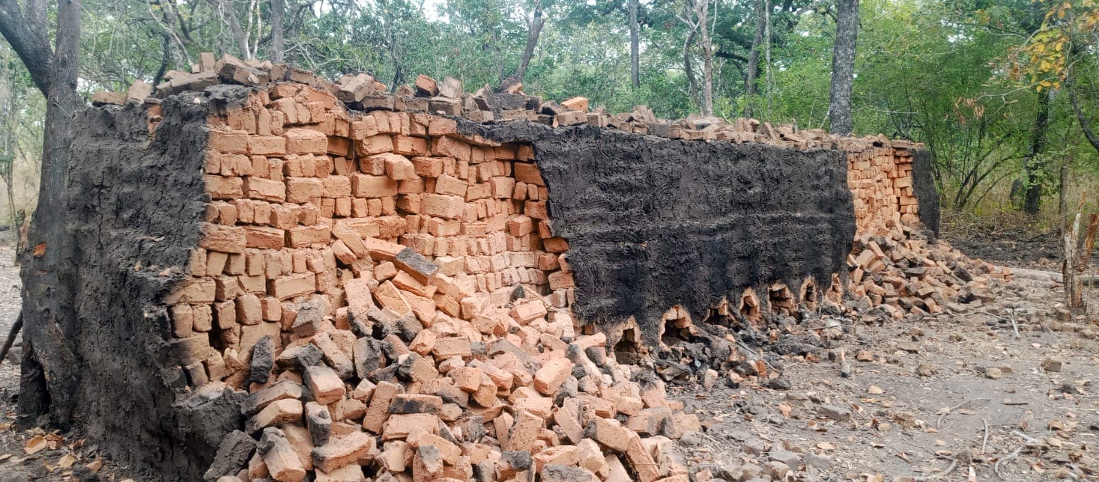 Projecto Agrícola